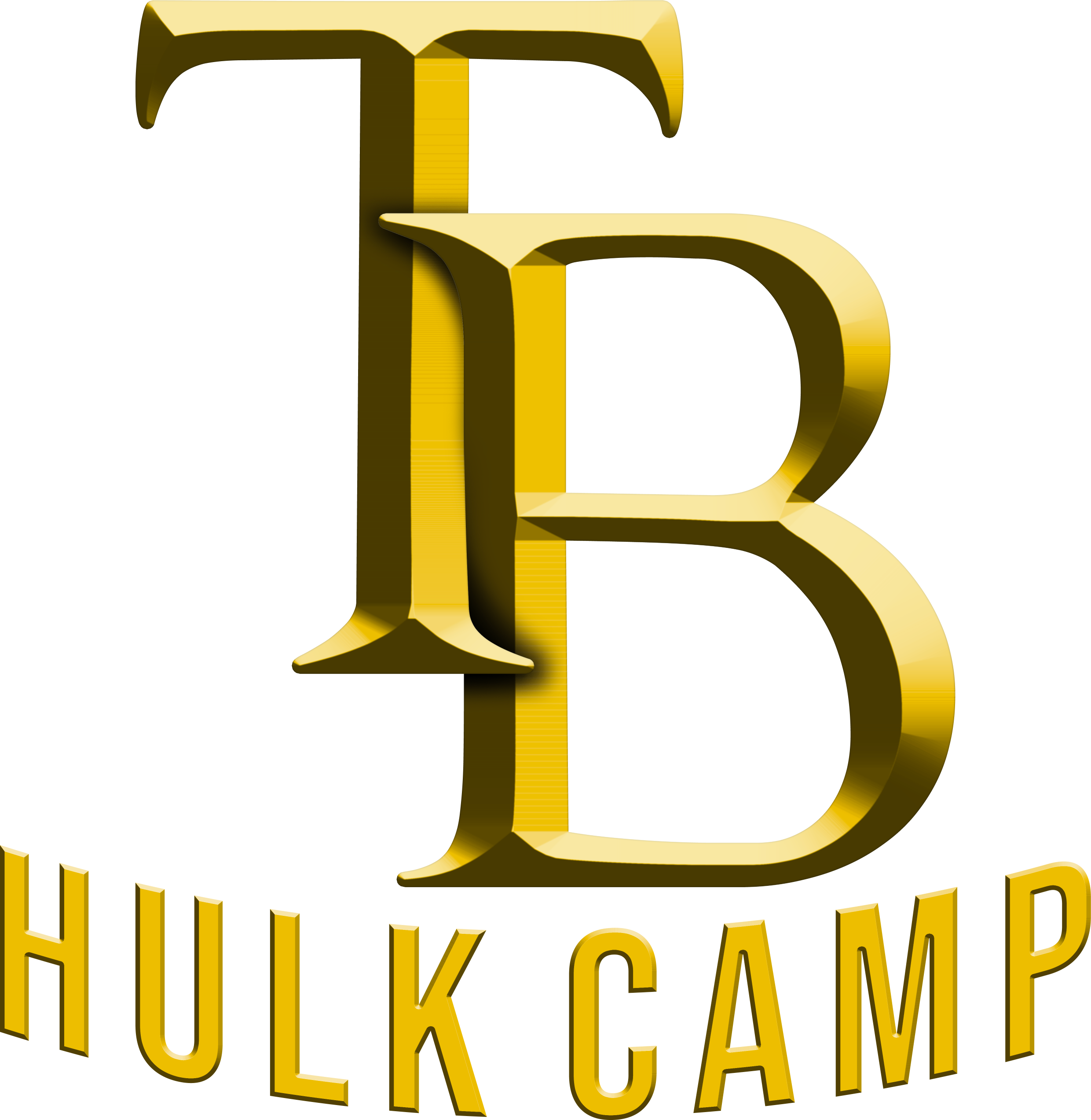 Tampa Bay Hulk Camp Membership Service W / Kiosk