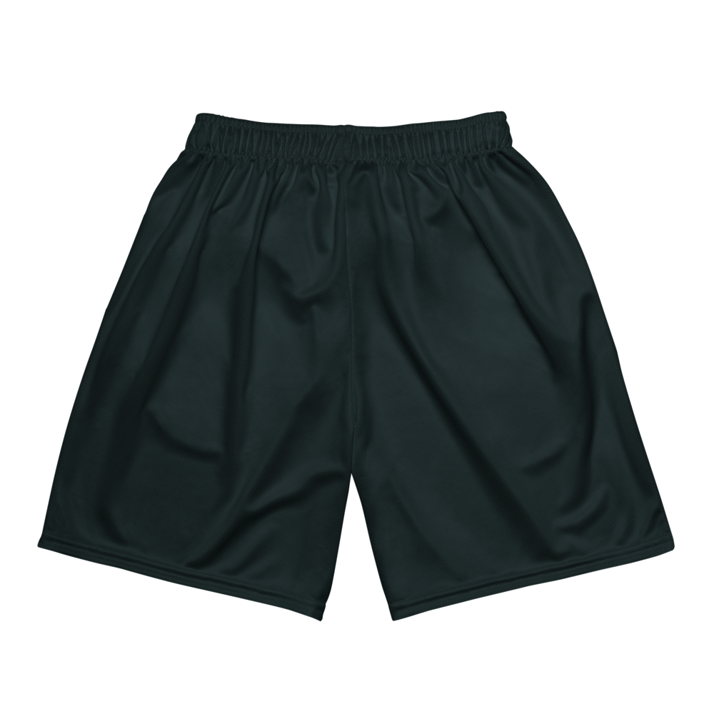 Adrian Brownell | Jersey Style Mesh Shorts