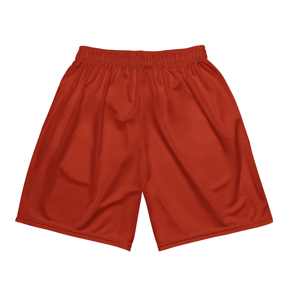 Malcolm Martin | Jersey Style Mesh Shorts