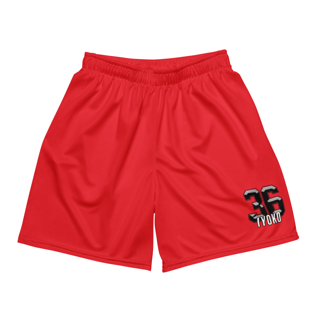 Daniel Iyoko | Jersey Style Mesh Shorts