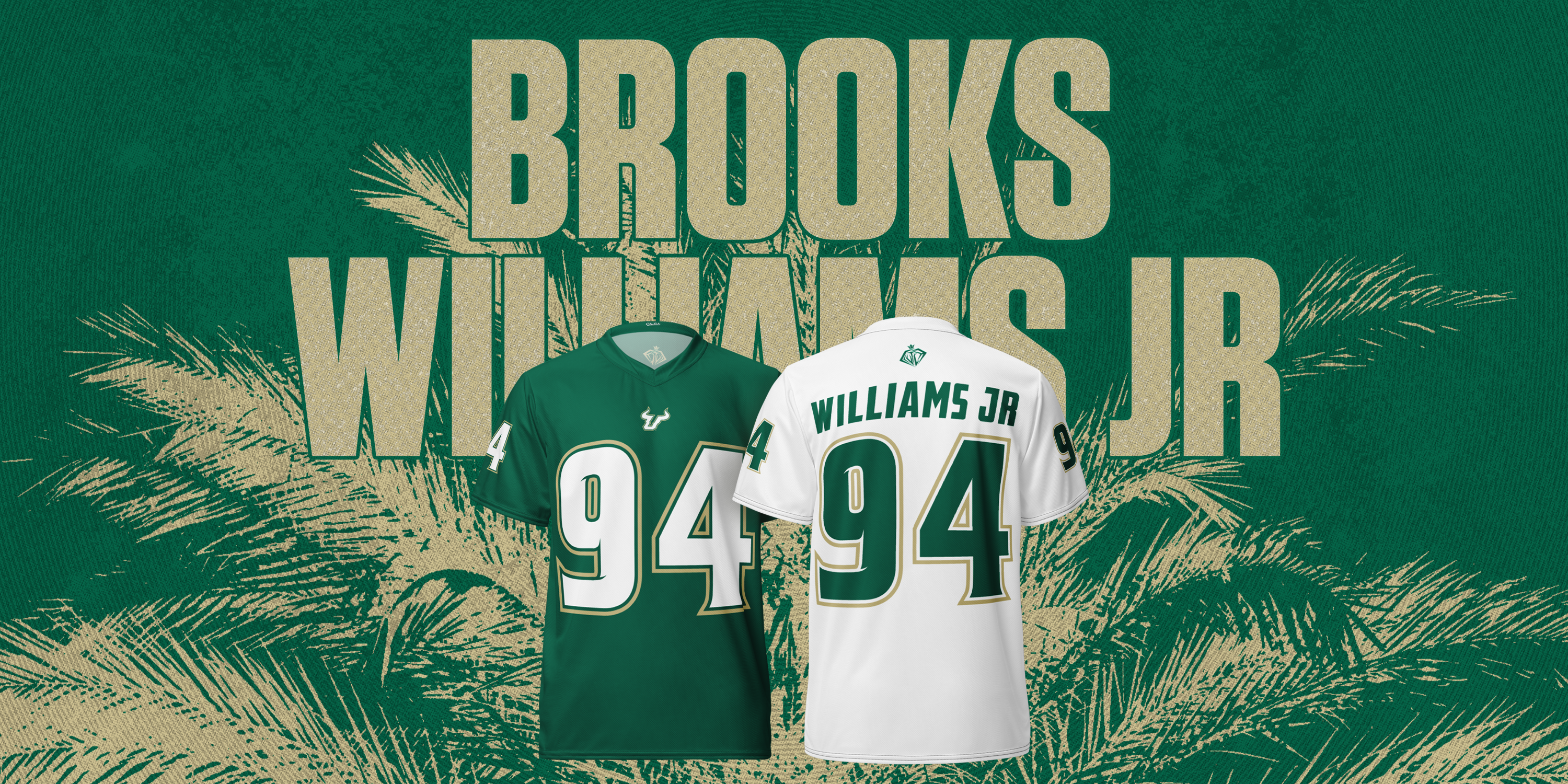 Brooks Williams Jr