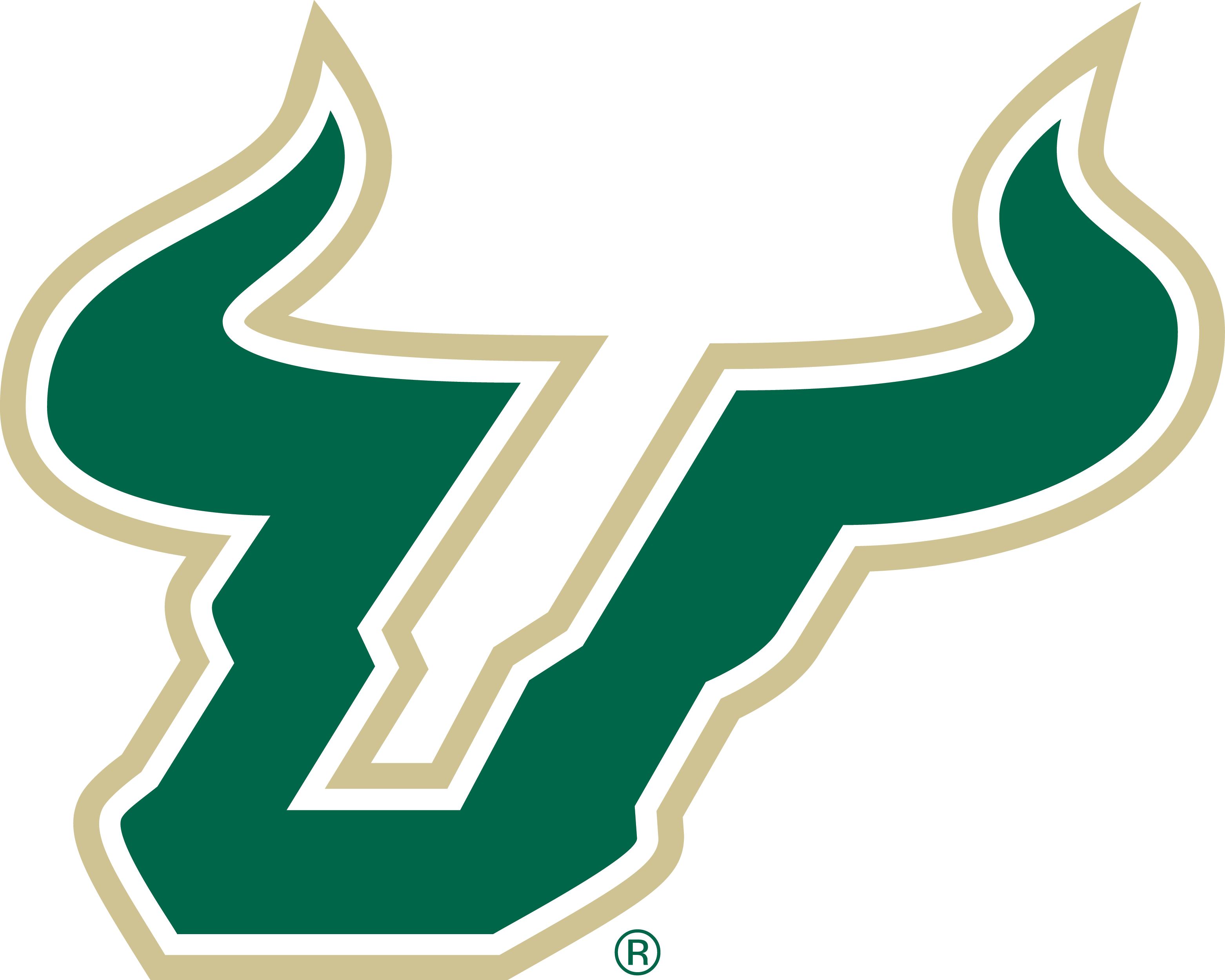 University of South Florida