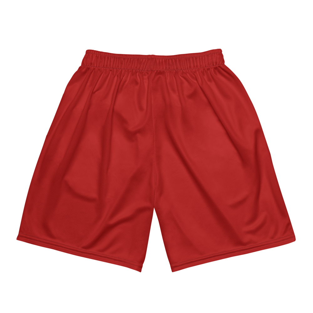 Damylo Scott | Jersey Style Mesh Shorts