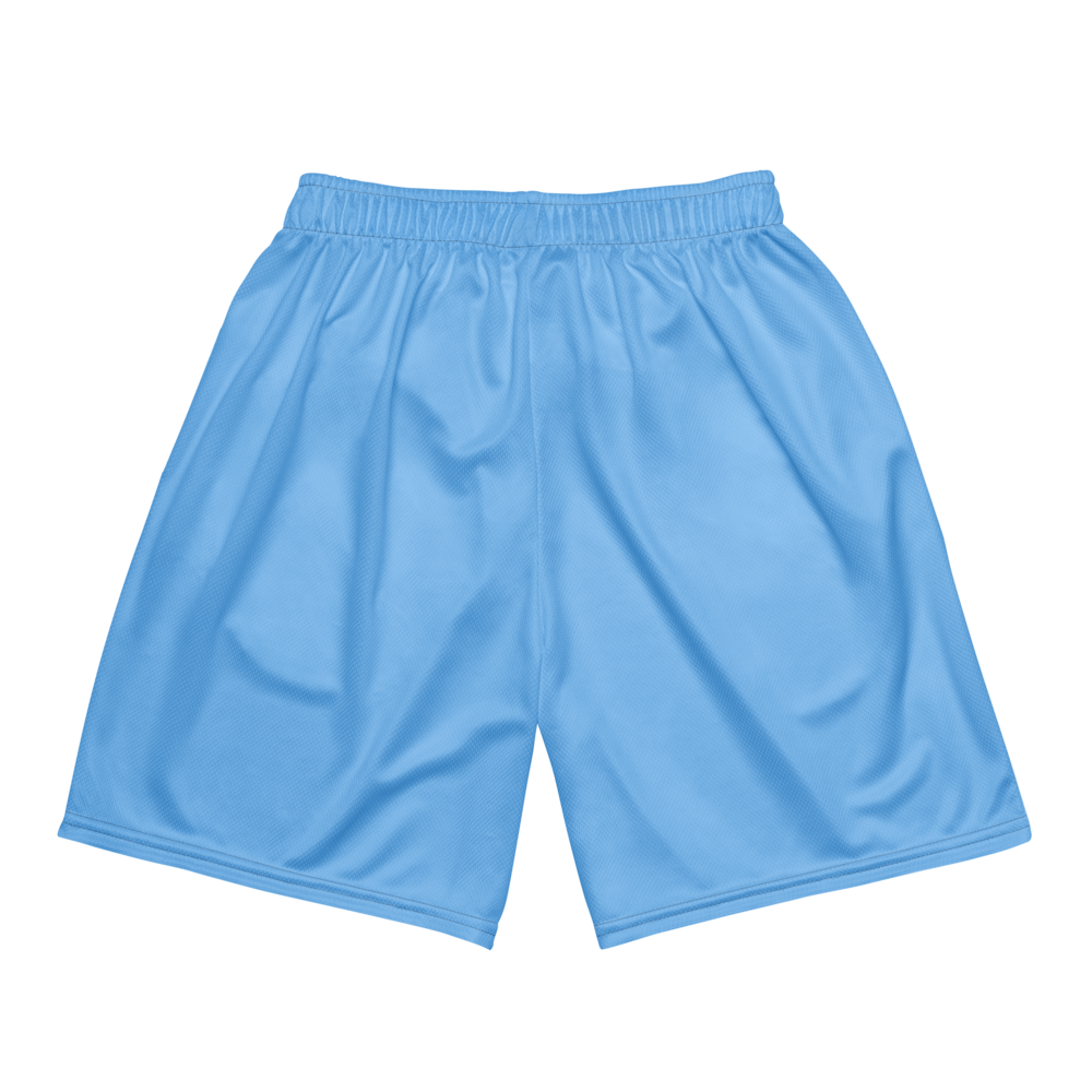 Adrienne Rivera | Jersey Style Mesh Shorts