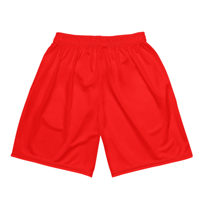 Landon Schillig | Jersey Style Mesh Shorts