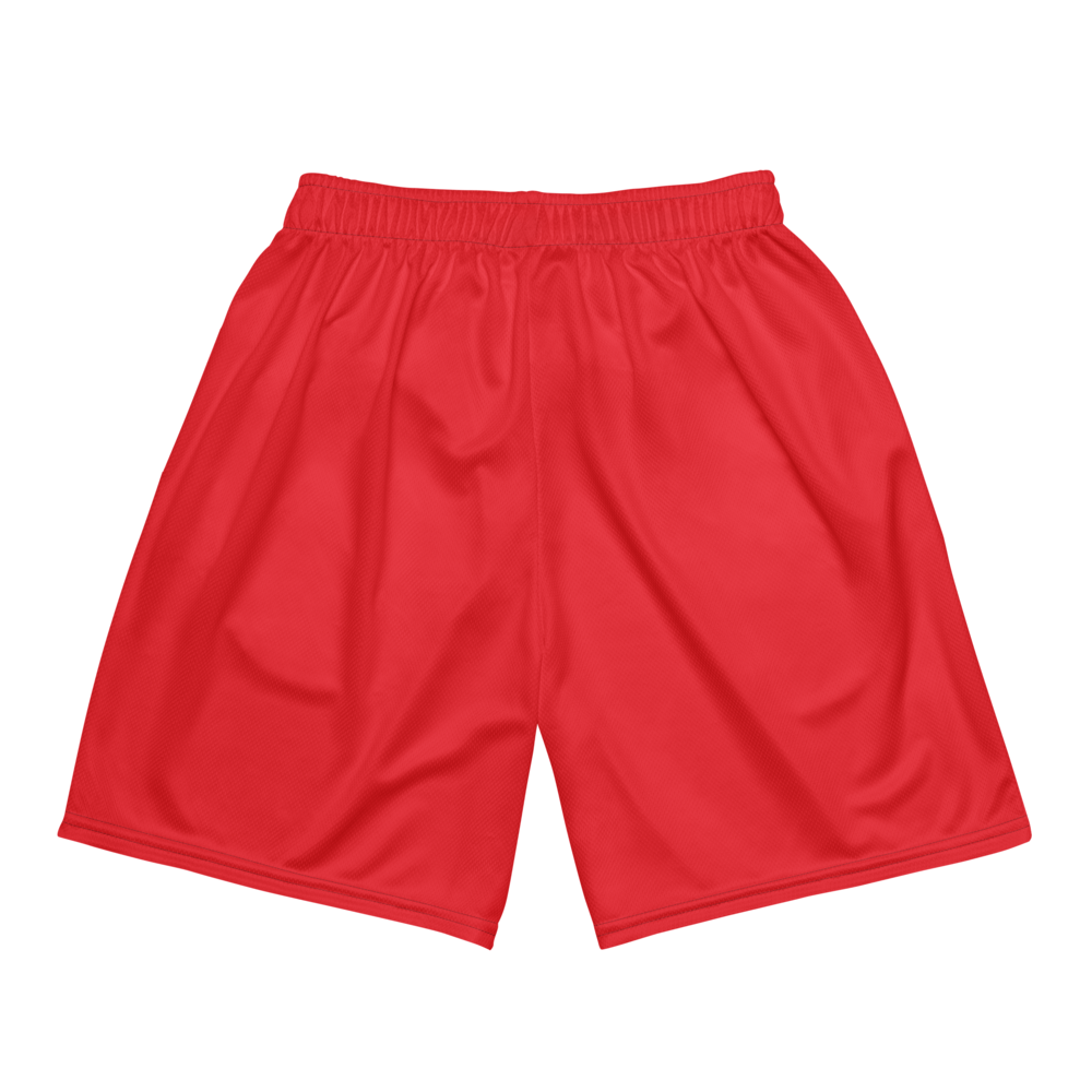 Daniel Iyoko | Jersey Style Mesh Shorts