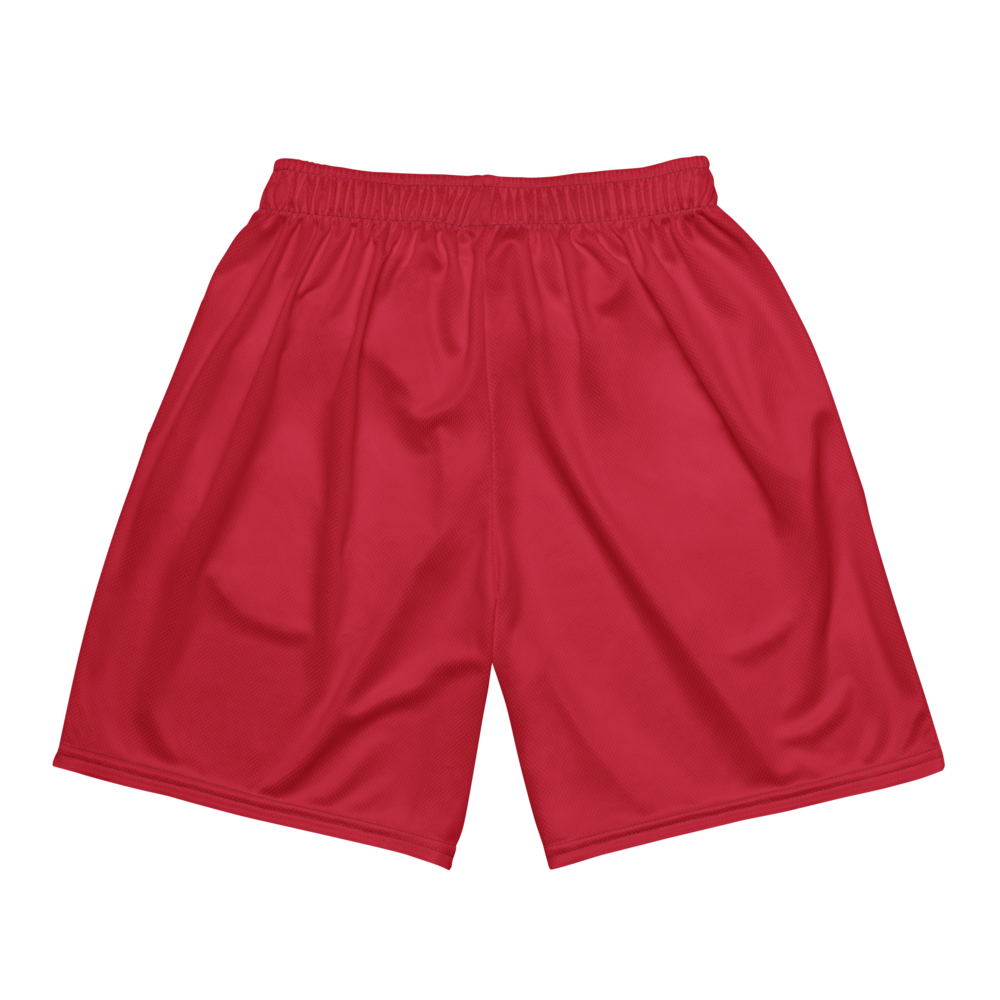 Keishon Wiser | Jersey Style Mesh Shorts