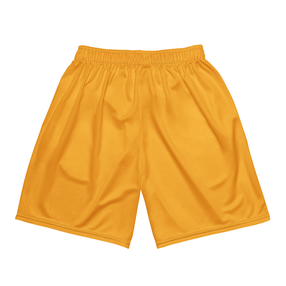 Jet Bilsborrow | Jersey Style Mesh Shorts