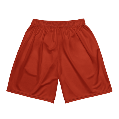 Malcolm Martin | Jersey Style Mesh Shorts
