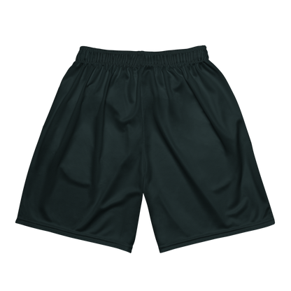 Adrian Brownell | Jersey Style Mesh Shorts