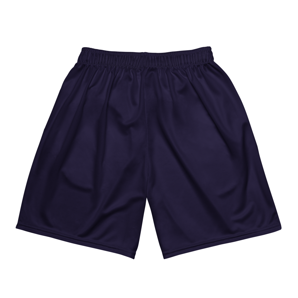Shan Acharya | Jersey Style Mesh Shorts