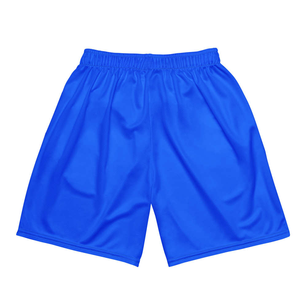 Frantz Pierre Jr | Jersey Style Mesh Shorts
