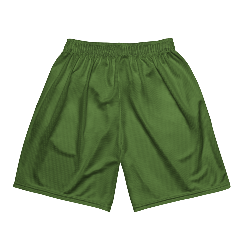 Matthew Rogliano | Jersey Style Mesh Shorts