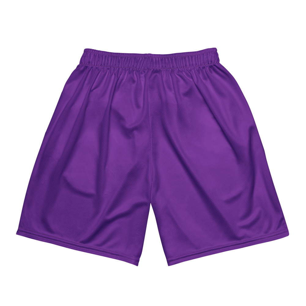 Camden Hawkins | Jersey Style Mesh Shorts