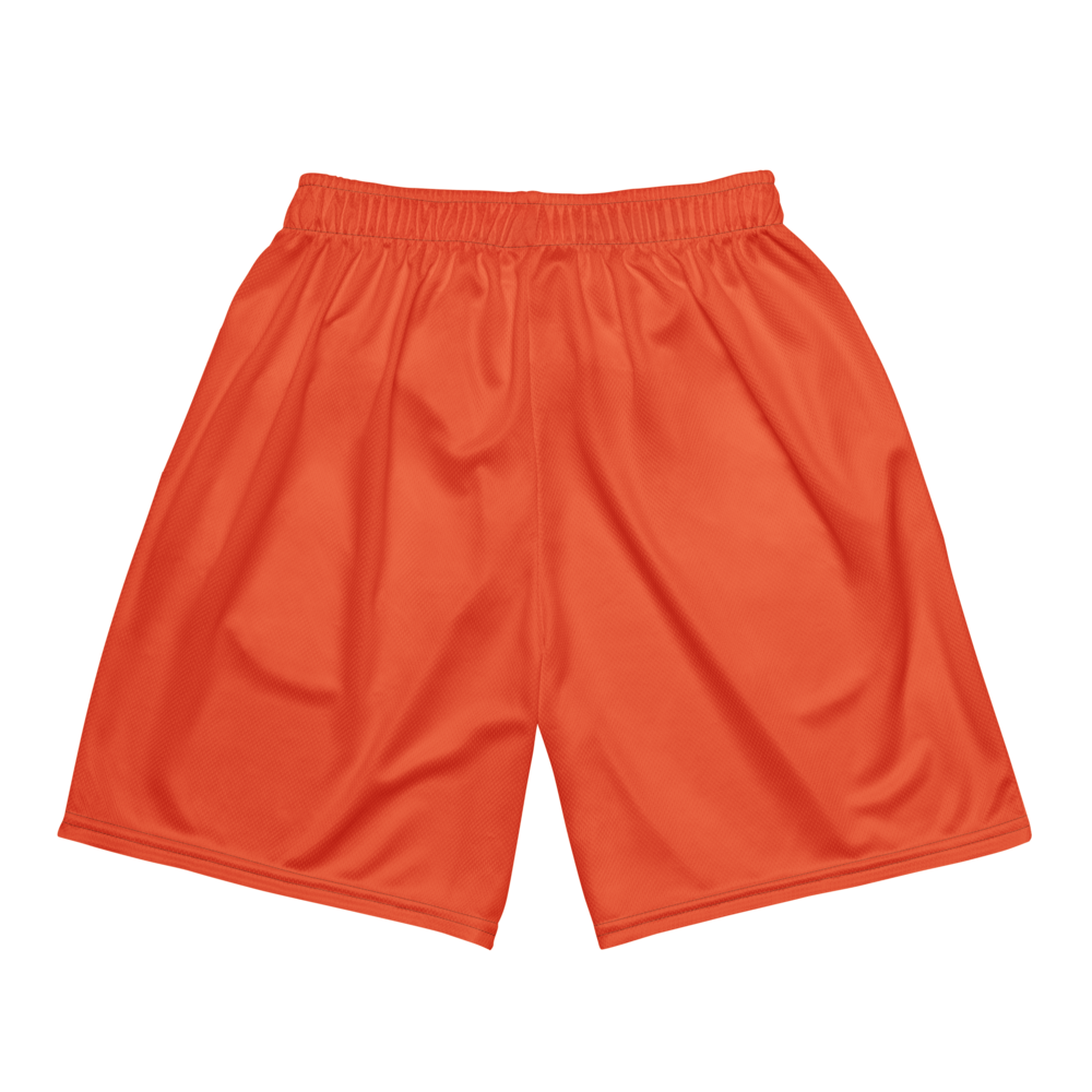 Eliasel Baez | Jersey Style Mesh Shorts