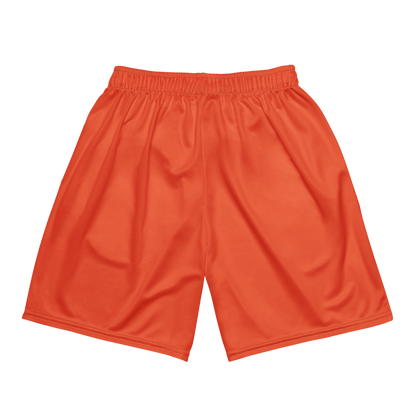 Eliasel Baez | Jersey Style Mesh Shorts