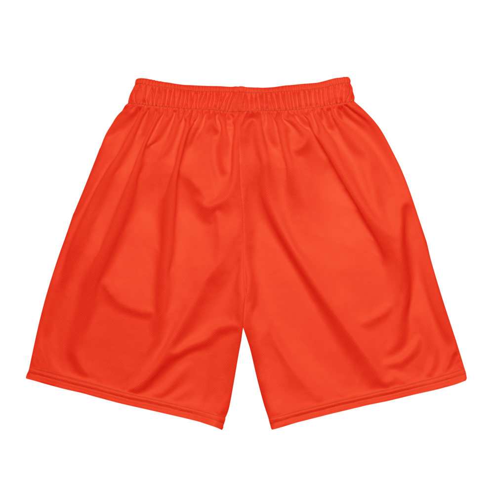 Kiran Singh | Jersey Style Mesh Shorts