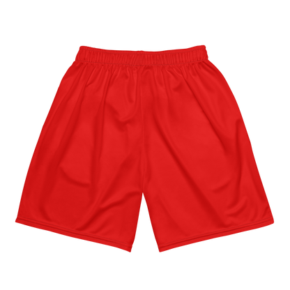Ace Thomas | Jersey Style Mesh Shorts