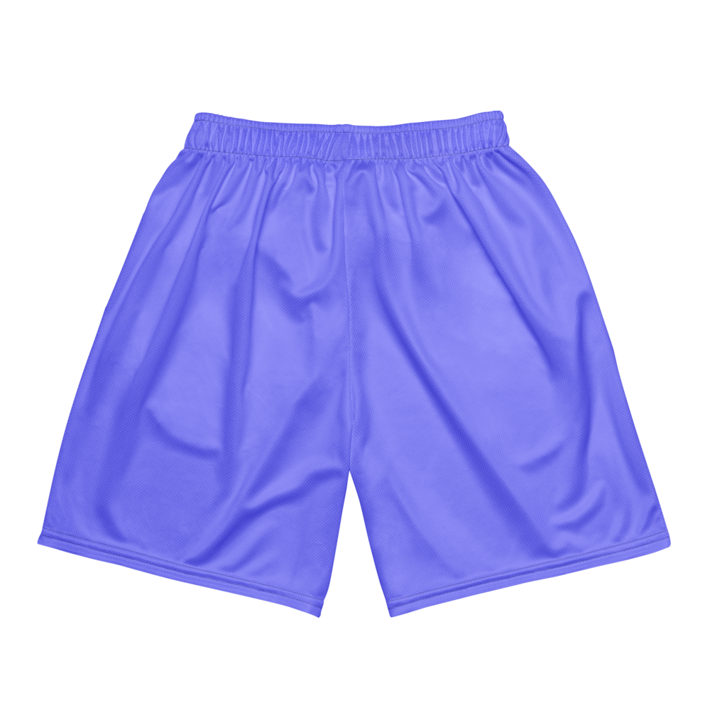 Emma Burr | Jersey Style Mesh Shorts