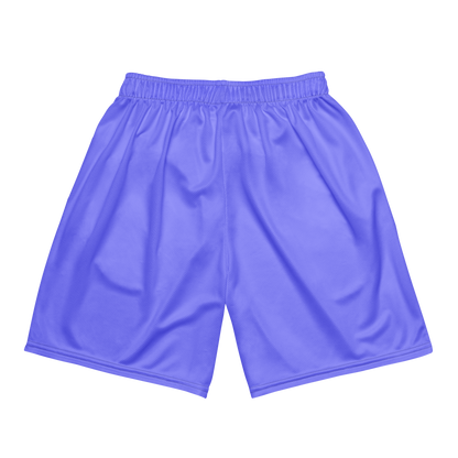 Emma Burr | Jersey Style Mesh Shorts