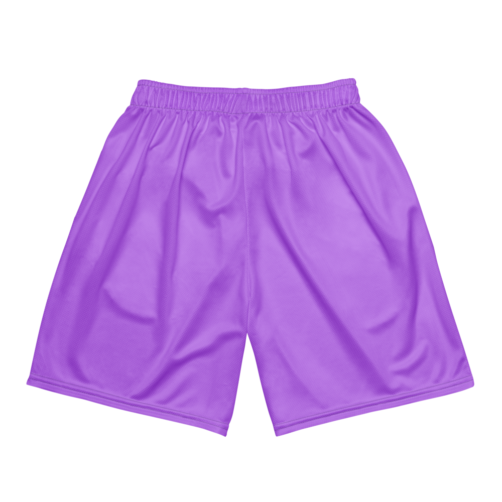 Audrey Cook | Jersey Style Mesh Shorts