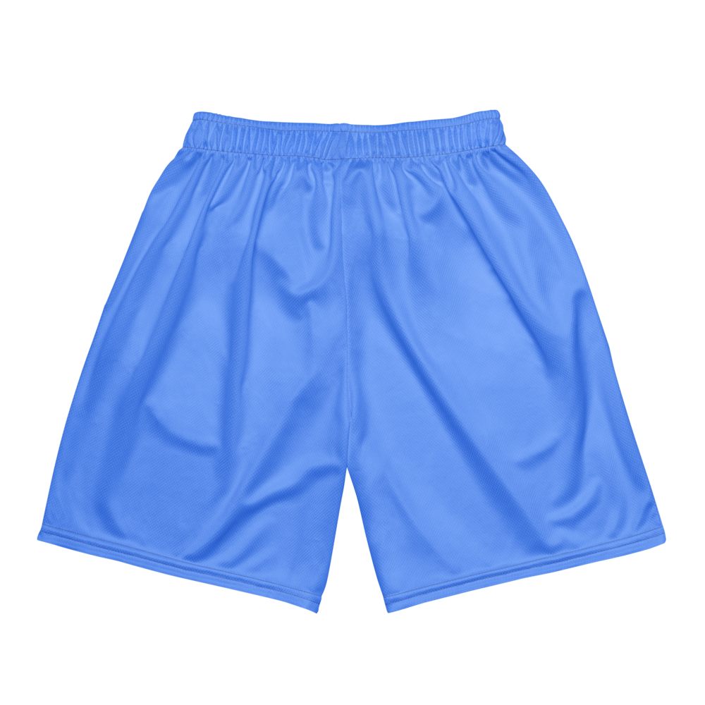 Bryce Wall | Jersey Style Mesh Shorts