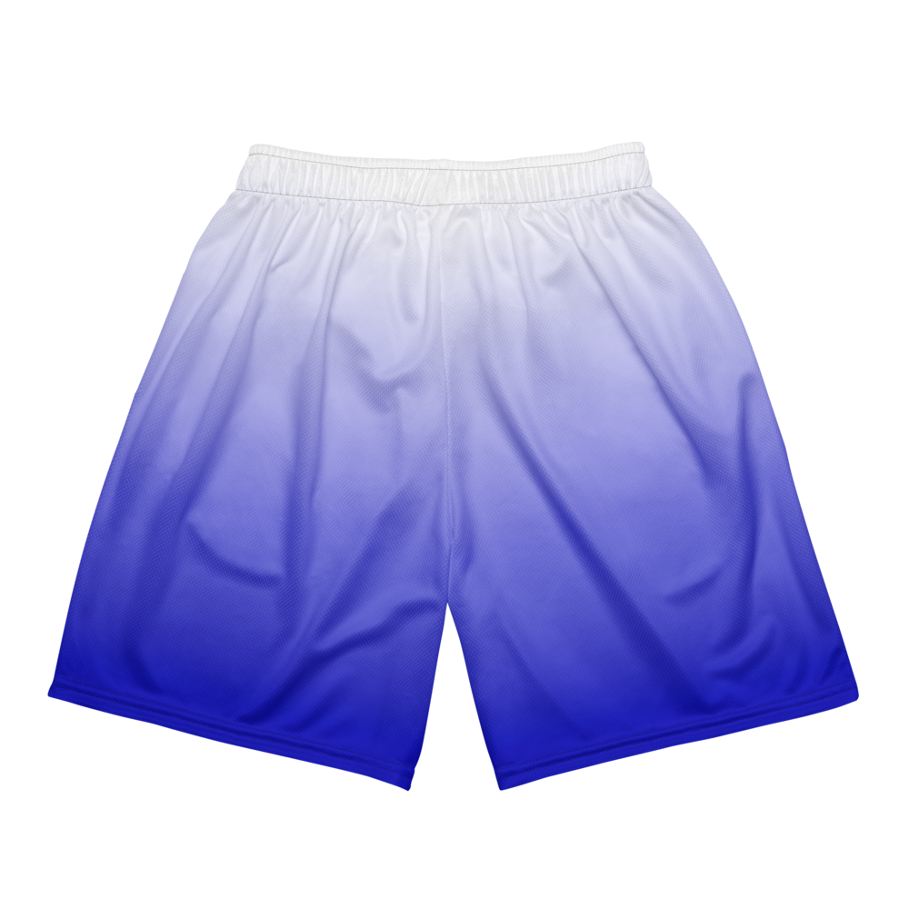 Kamiyah Malone | Jersey Style Mesh Shorts