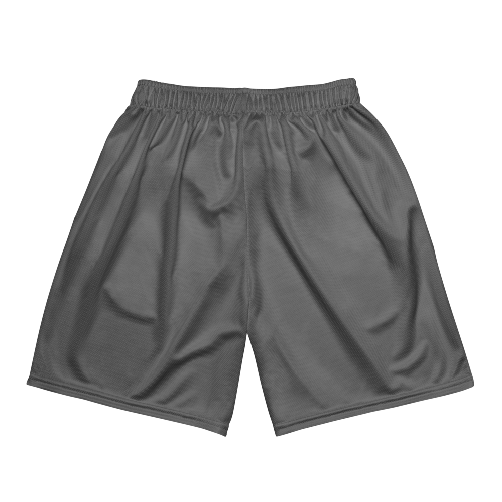 Dyl Loyd | Jersey Style Mesh Shorts
