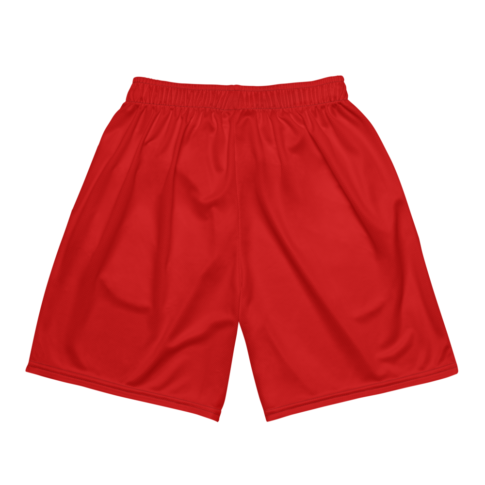Brooke Taylor | Jersey Style Mesh Shorts