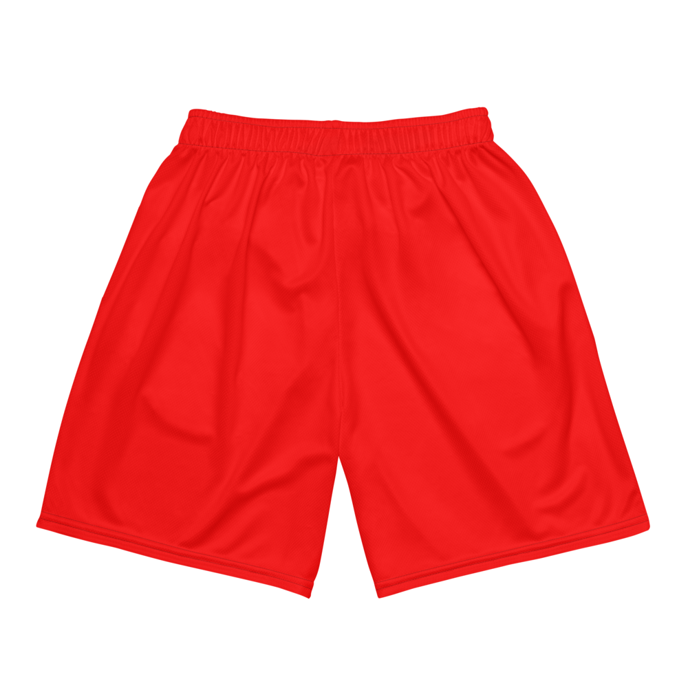 Jack Quintana | Jersey Style Mesh Shorts
