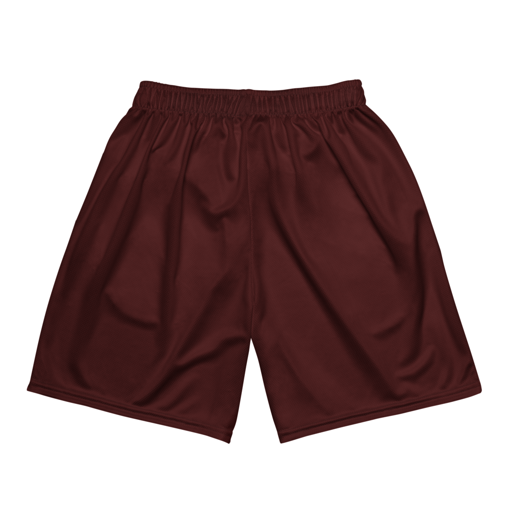 DaNari Patton | Jersey Style Mesh Shorts