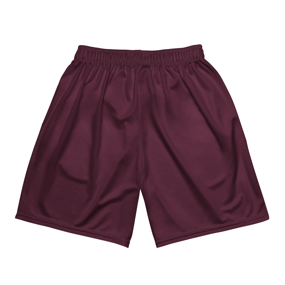 Dylan Berrien | Jersey Style Mesh Shorts