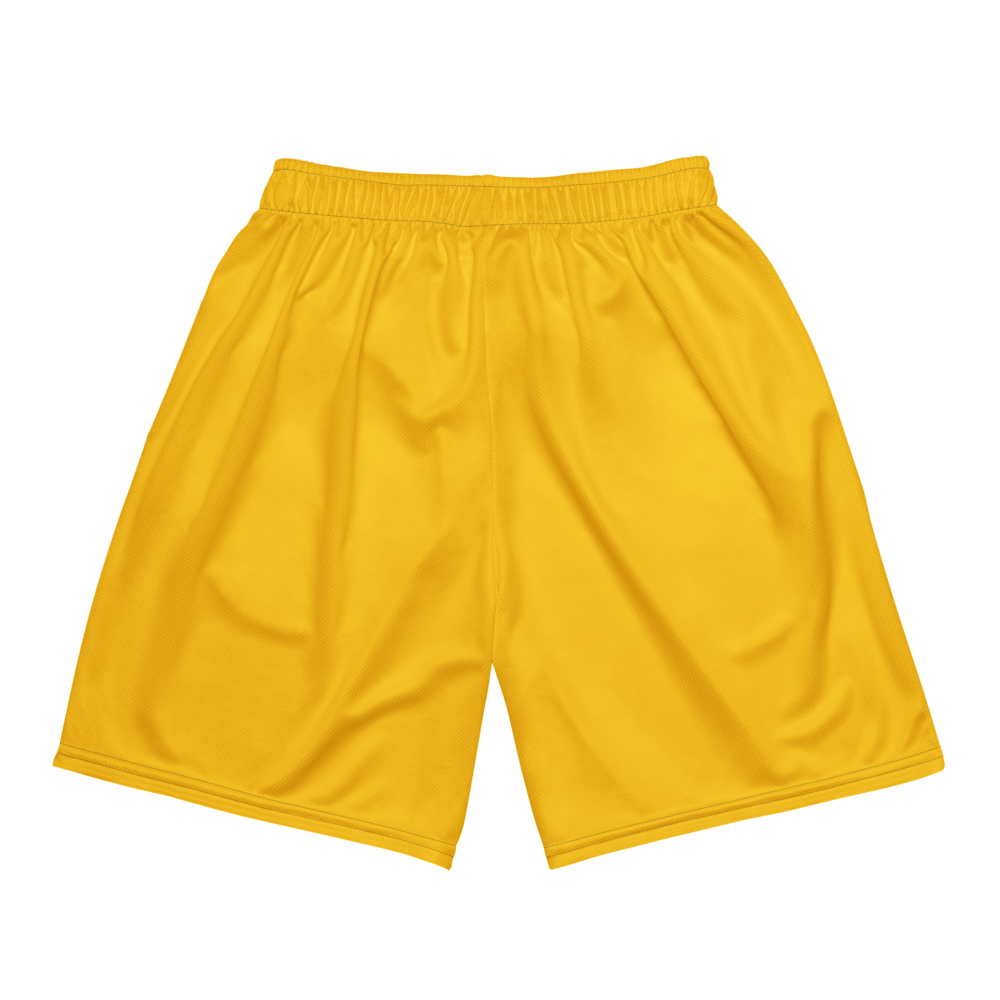 Mateo Hill | Jersey Style Mesh Shorts