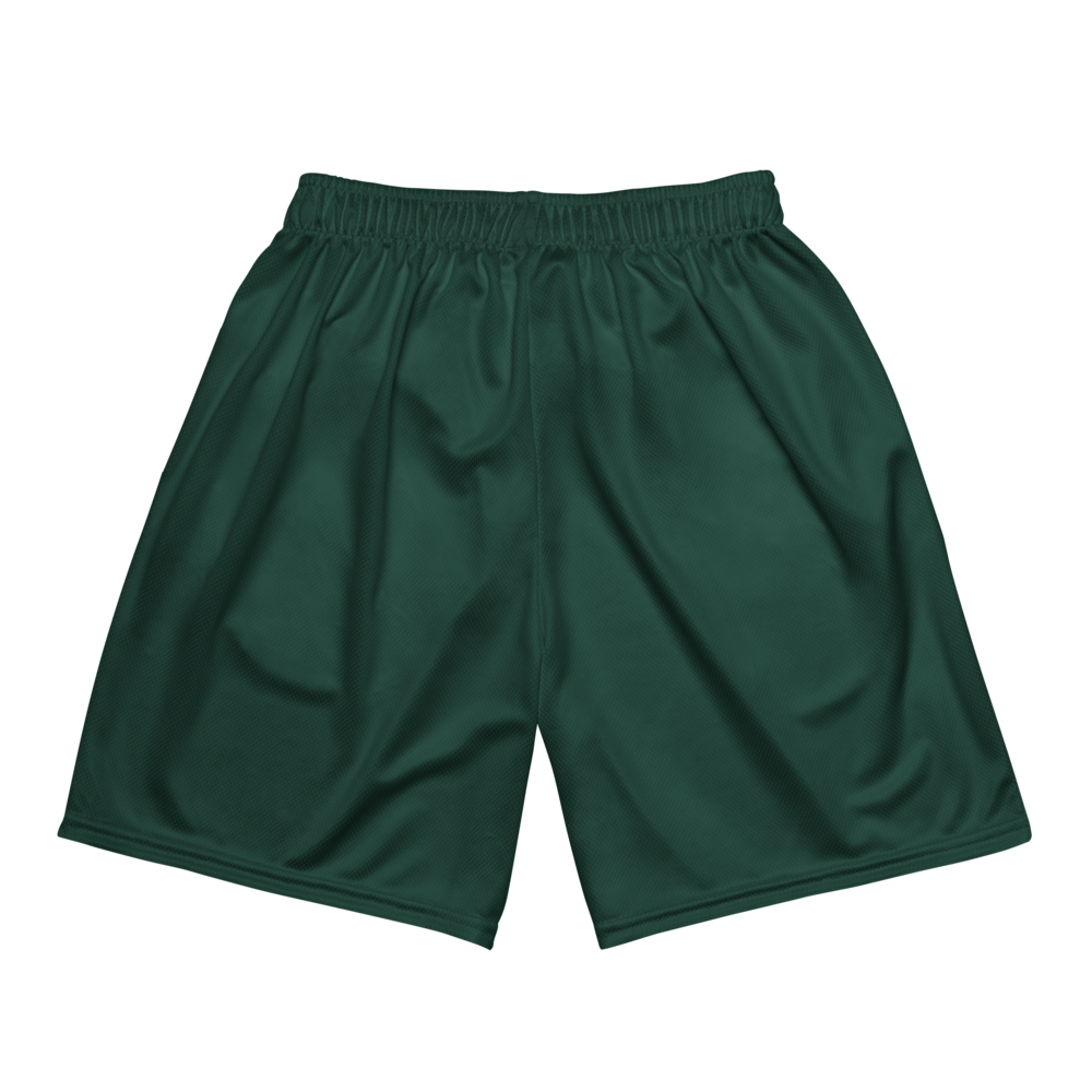 Quran Haten-Harper | Jersey Style Mesh Shorts