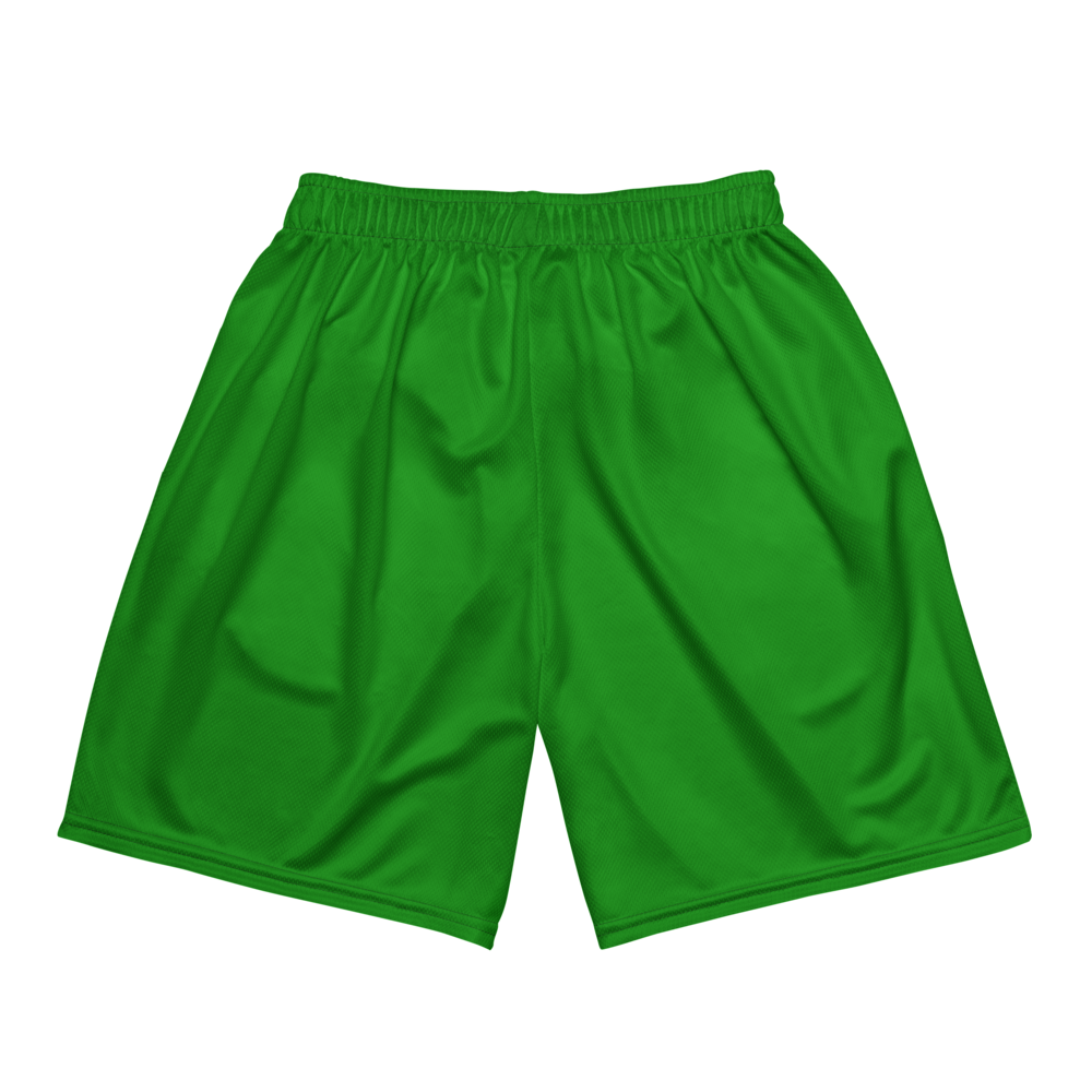 Liam Marqua | Jersey Style Mesh Shorts
