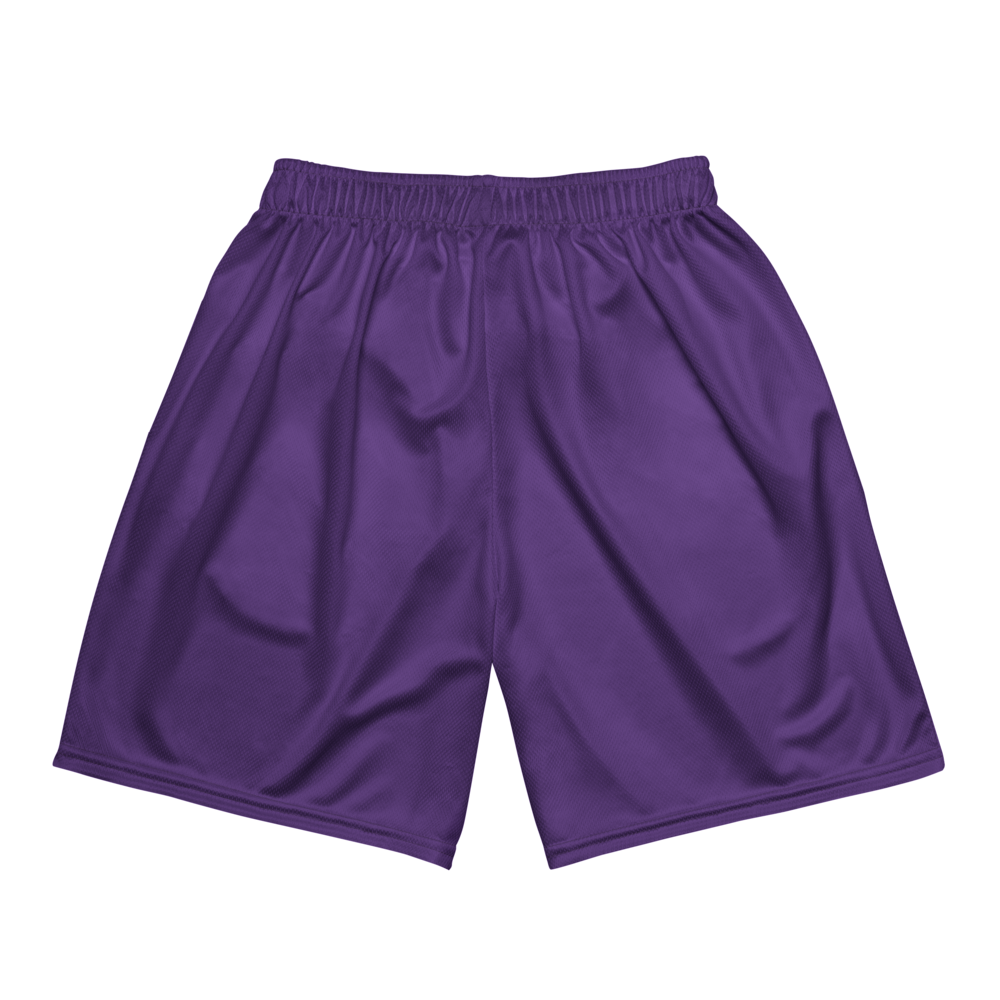Ava Sawi | Jersey Style Mesh Shorts