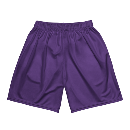 Ava Sawi | Jersey Style Mesh Shorts