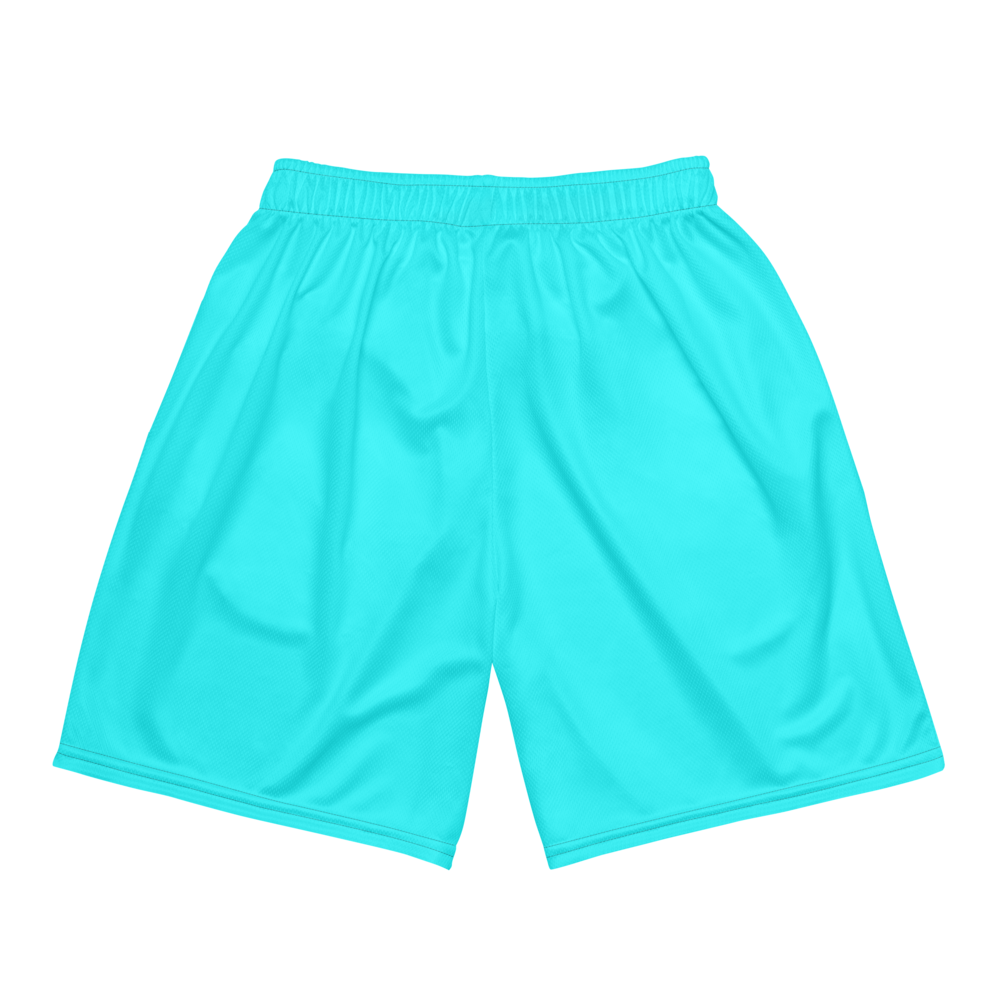 Cali Davis | Jersey Style Mesh Shorts