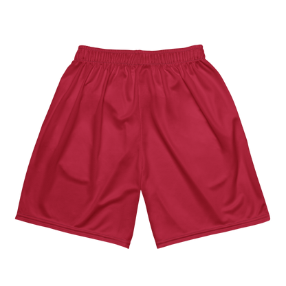 Brea Rashid-Gipson | Jersey Style Mesh Shorts