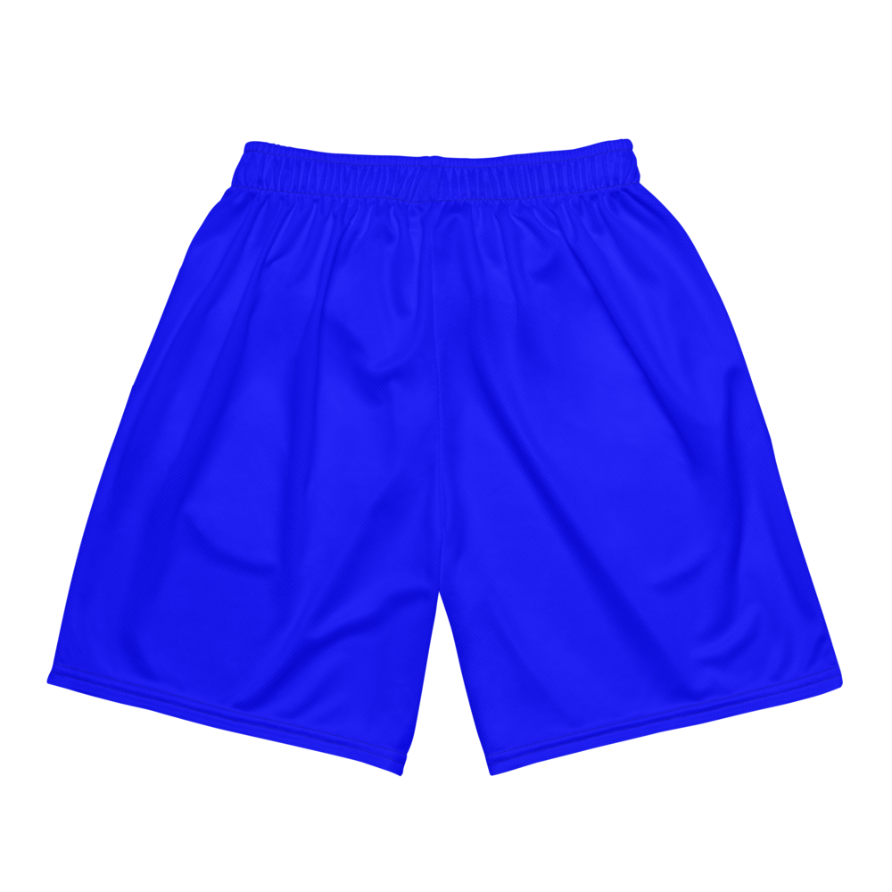 Jonnathan Rabeiro | Jersey Style Mesh Shorts