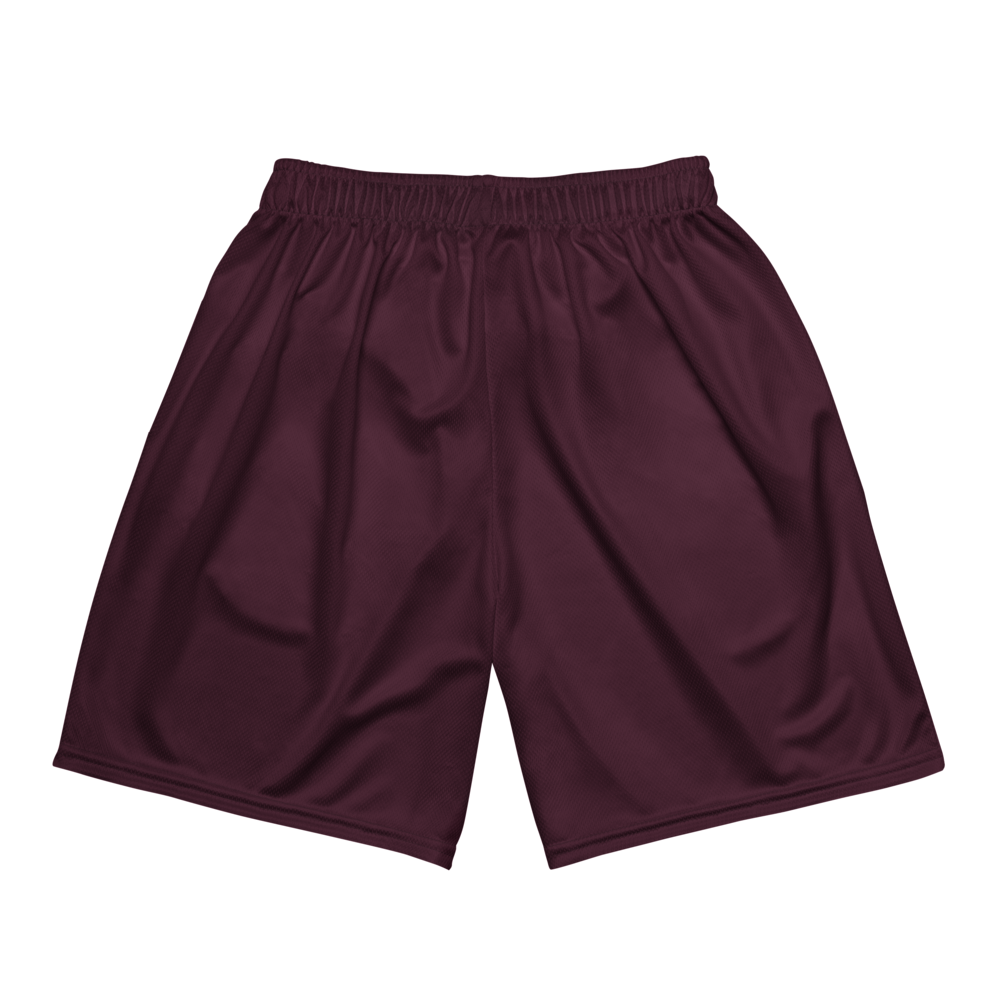 Kylie Wilson | Jersey Style Mesh Shorts