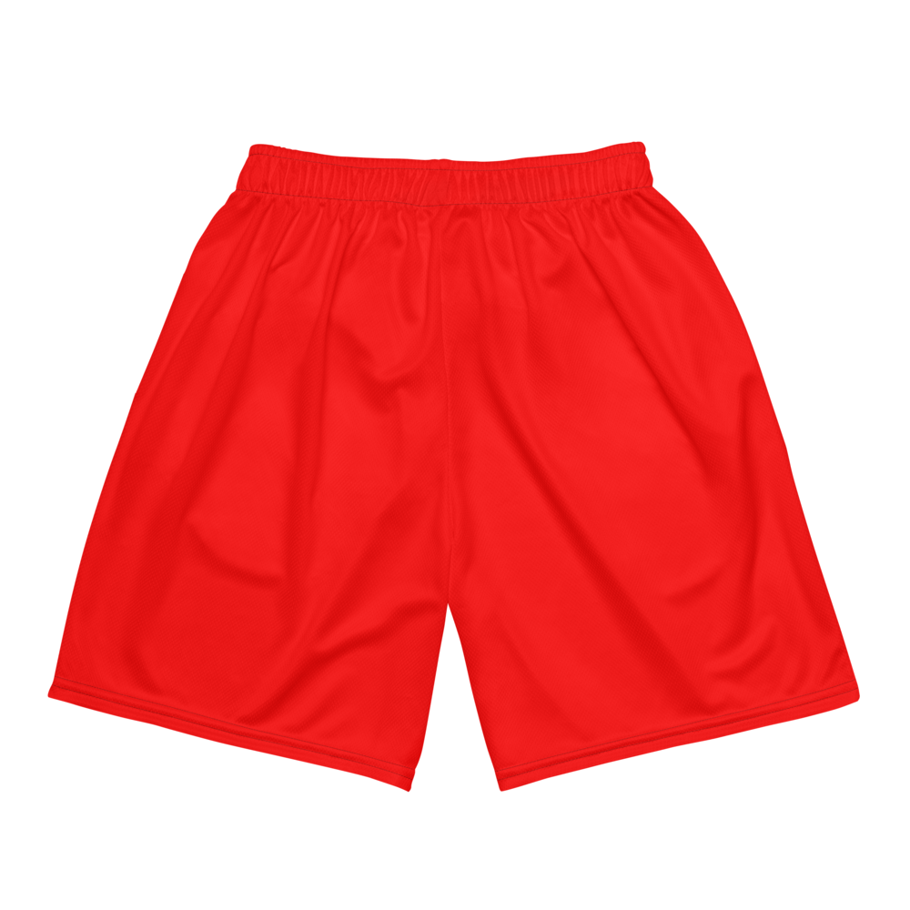 Will Estes | Jersey Style Mesh Shorts