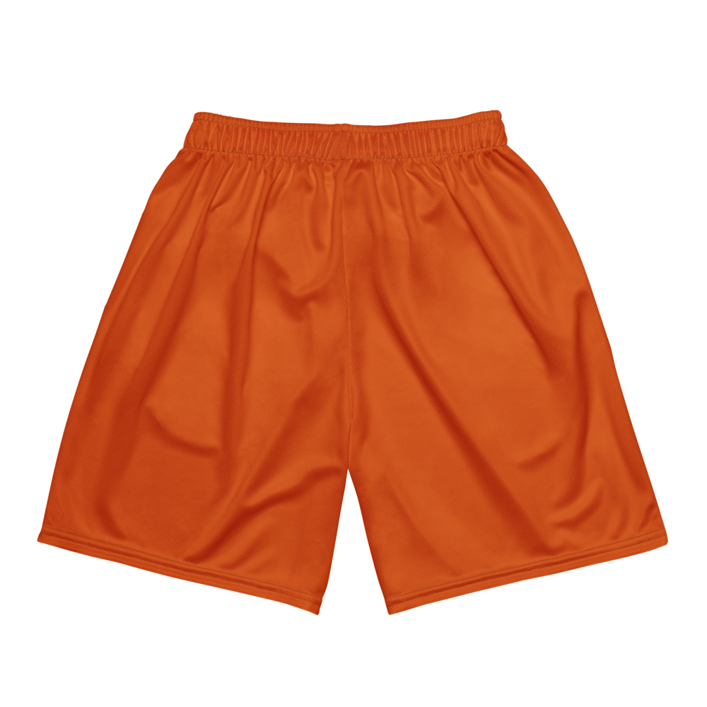 Brylan Jennings | Jersey Style Mesh Shorts