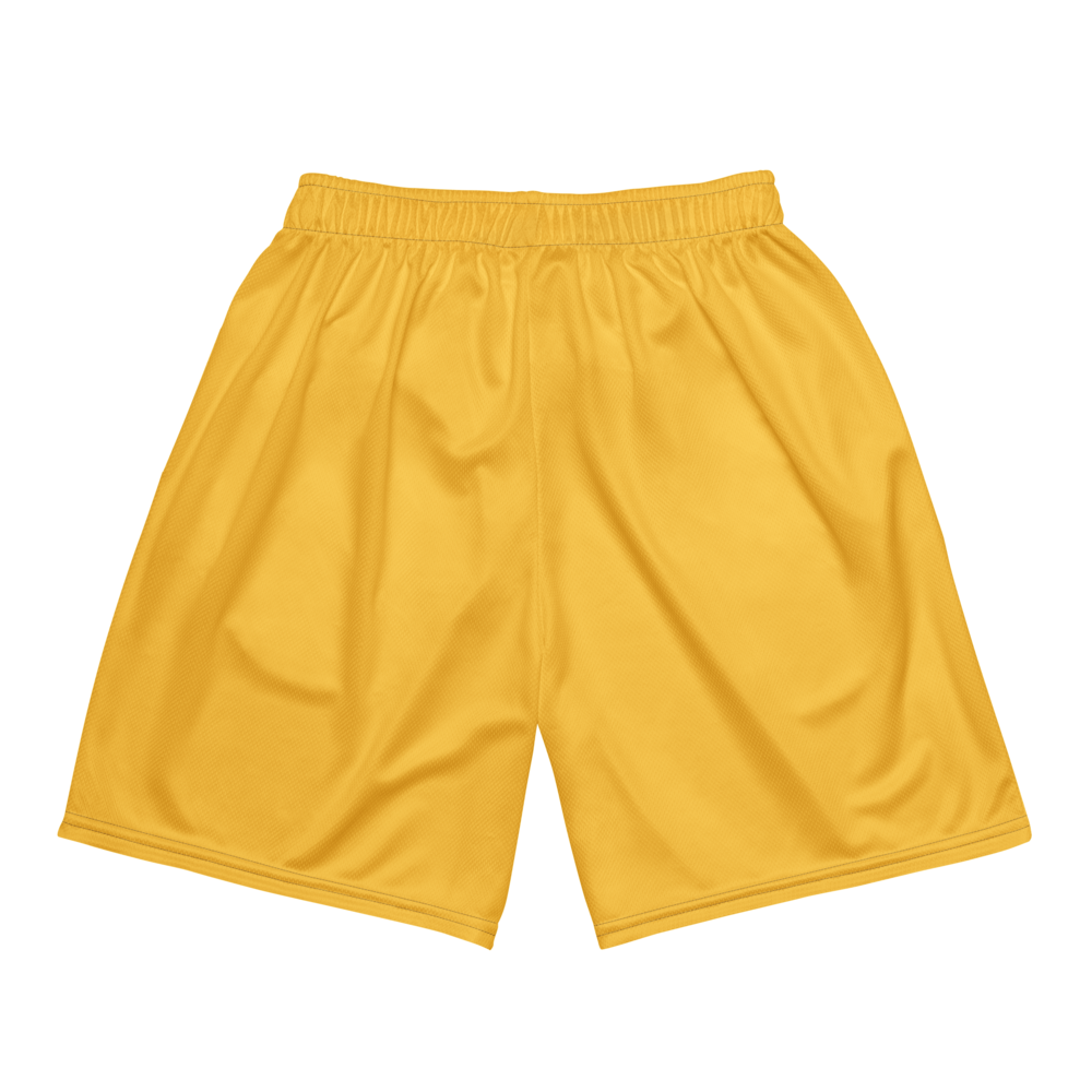 Jeremiah Johnson | Jersey Style Mesh Shorts