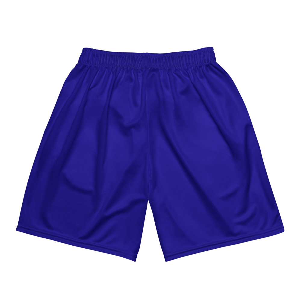 Adonis Ashley | Jersey Style Mesh Shorts