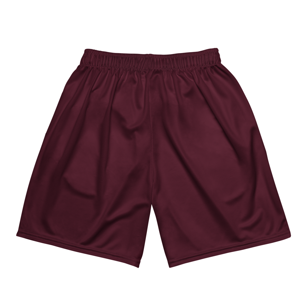 Joshua Fletcher | Jersey Style Mesh Shorts