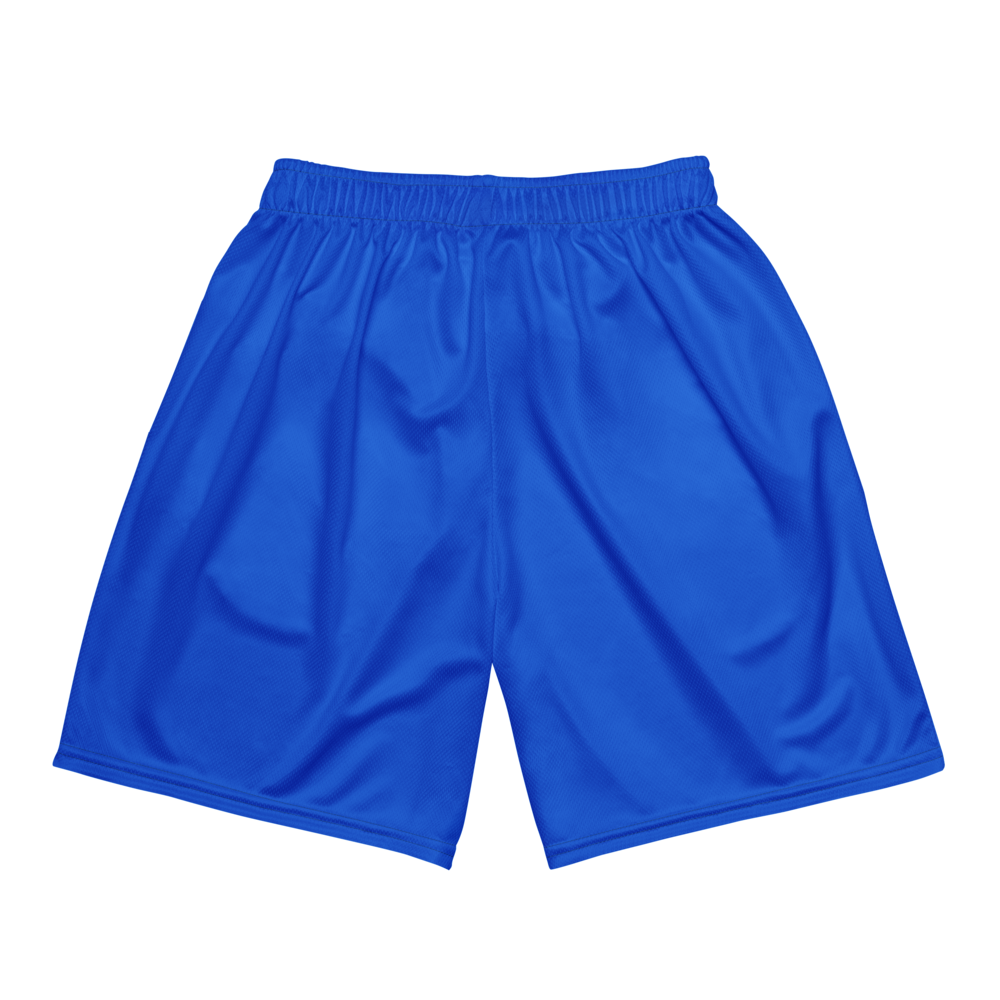 Wes Sheehan | Jersey Style Mesh Shorts