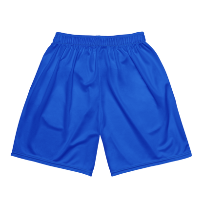 Wes Sheehan | Jersey Style Mesh Shorts