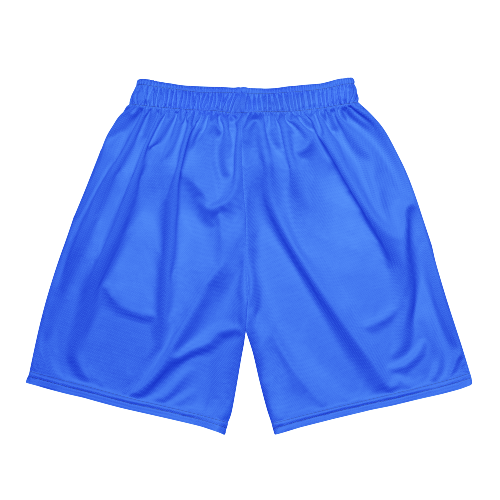 Steven Cruz | Jersey Style Mesh Shorts