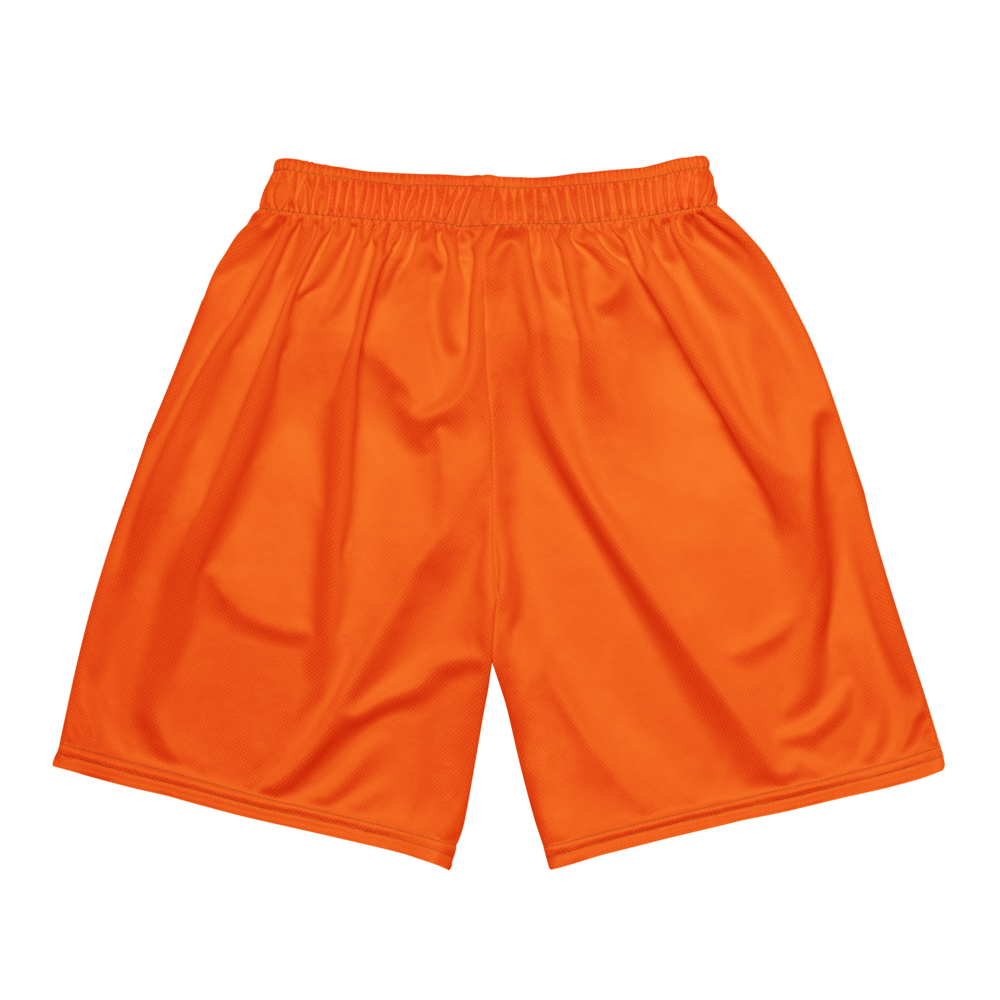 Austin Rose | Jersey Style Mesh Shorts